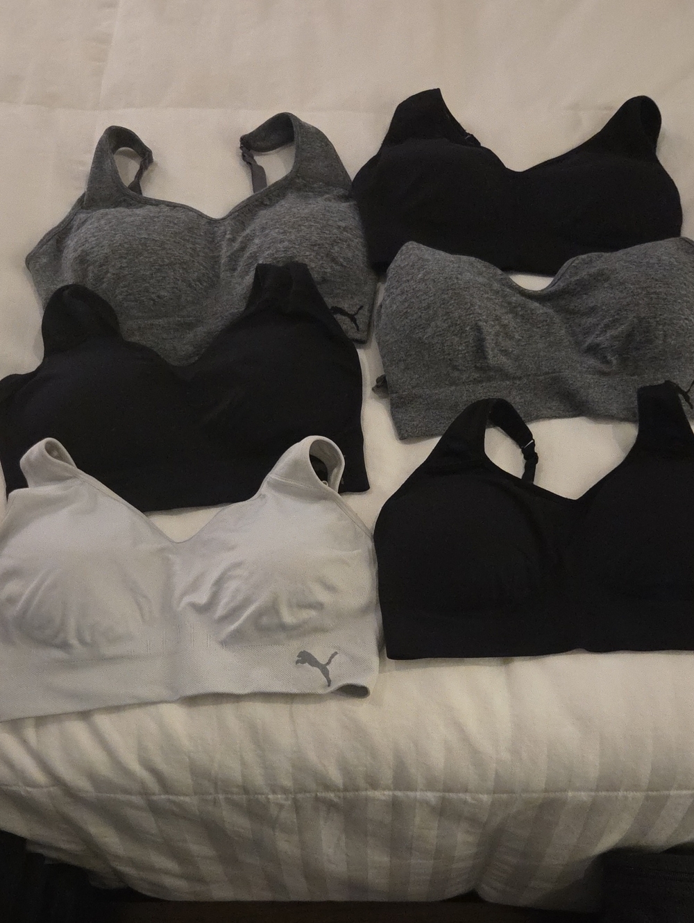 Puma Seamless Sports Bras Set in Black and Light Gray(various Colors)